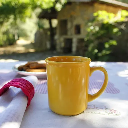 La Terrasse Sul Golfo Dei Poeti Vieri Appartamento Lerici